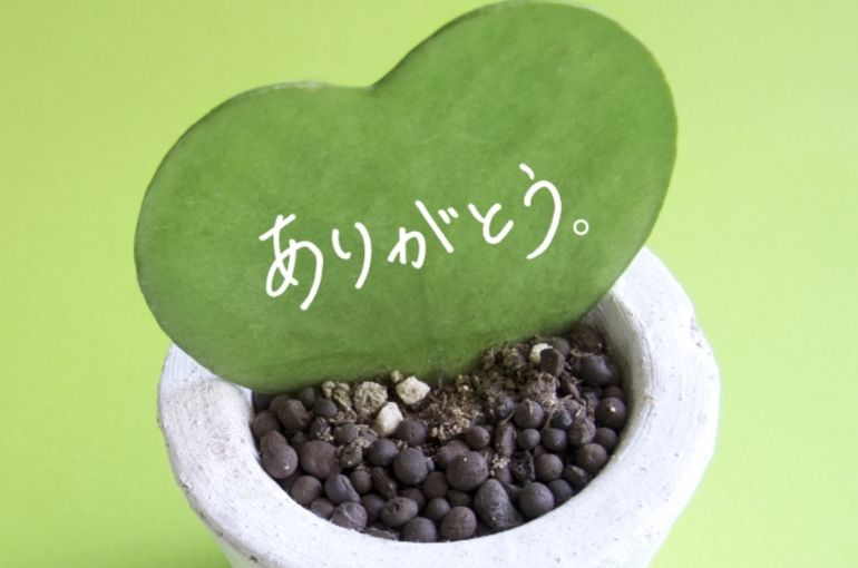 敬老の日　マッサージ